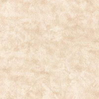 Ковролин AW Cantate 33 фото 1 | FLOORDEALER